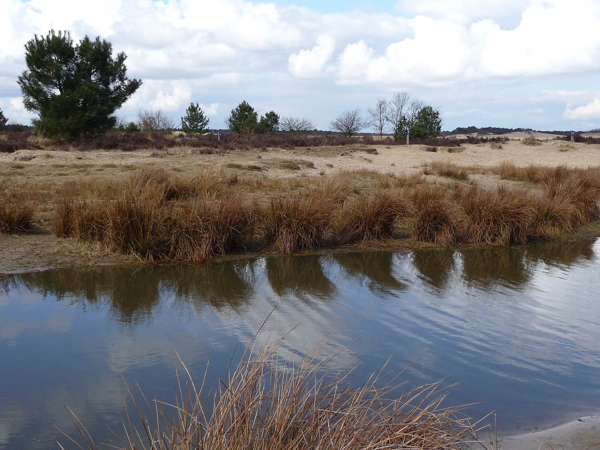 Vrijblijvende waardebepaling